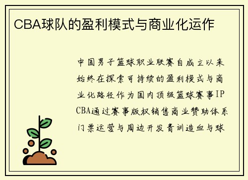 CBA球队的盈利模式与商业化运作